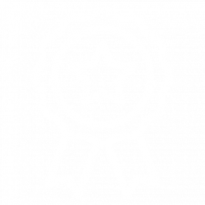 award icon