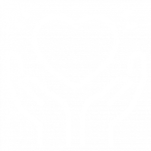 nonprofit icon